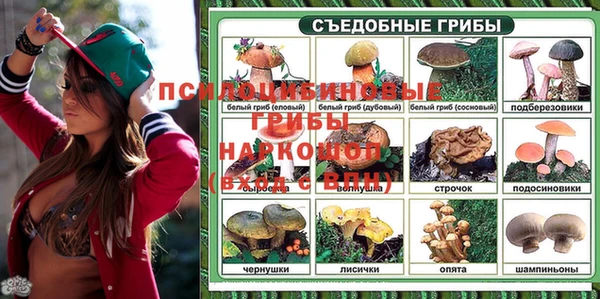 a pvp Алексеевка